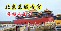 扒毛挺入中国北京-东城古宫旅游风景区